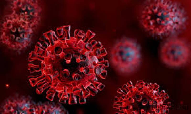 Pakistan reports 26 coronavirus cases in 24 hours