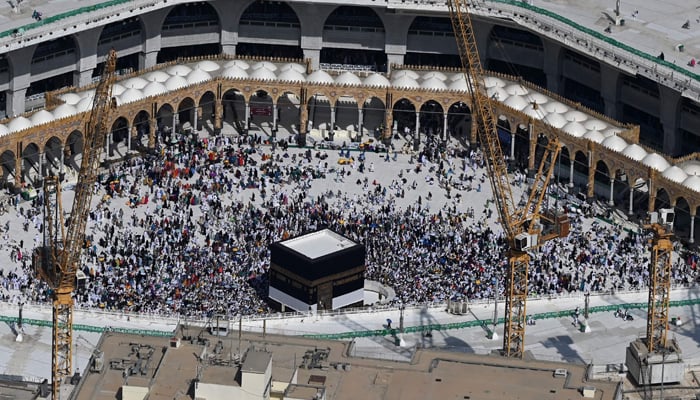 Hajj expenses to be collected in dollars next year: minister