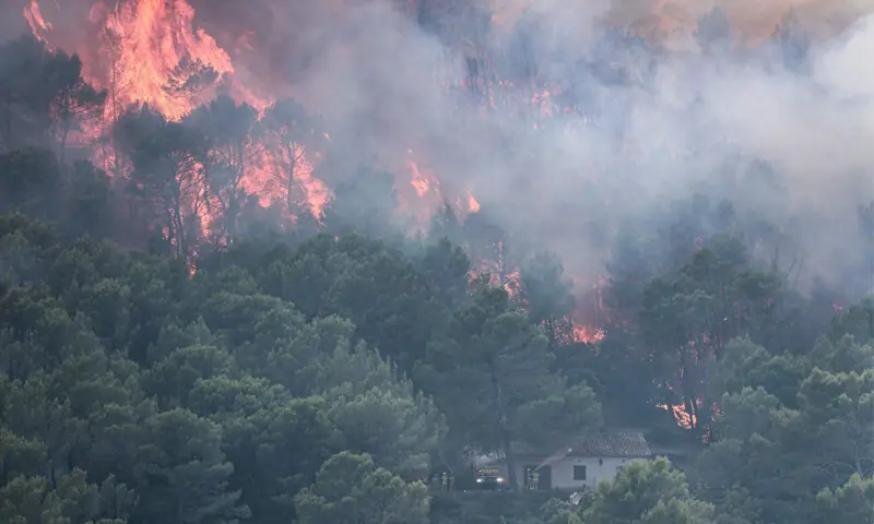 Deadly wildfires in Europe force thousands to flee