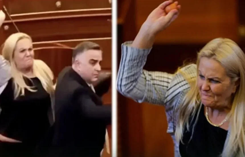 kosovo Opposition MP Throws Eggs at Acting Prime Minister During Parliamentary Session