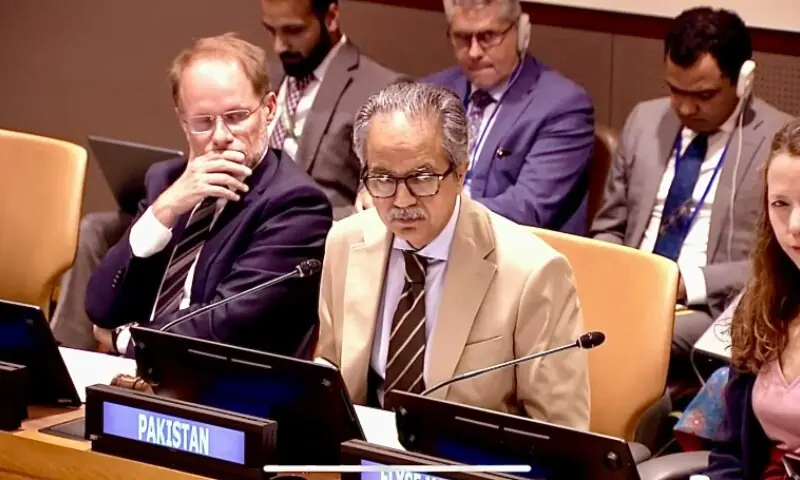Will respond to terror threats from Afghanistan in self-defence as and when needed, Pakistan tells UNSC